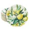 BLUE PANDA Disposable Lemon Farmhouse Paper Plates - 9-Inch, Green Matte, 80 Count, Heavyweight 350 GSM for Citrus Birthdays, Bridal Showers, Lemon Theme Cakes & Desserts